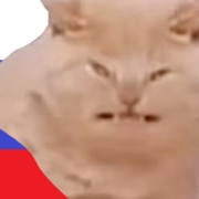 Павел Власов